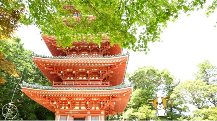 五台山竹林寺の五重塔
